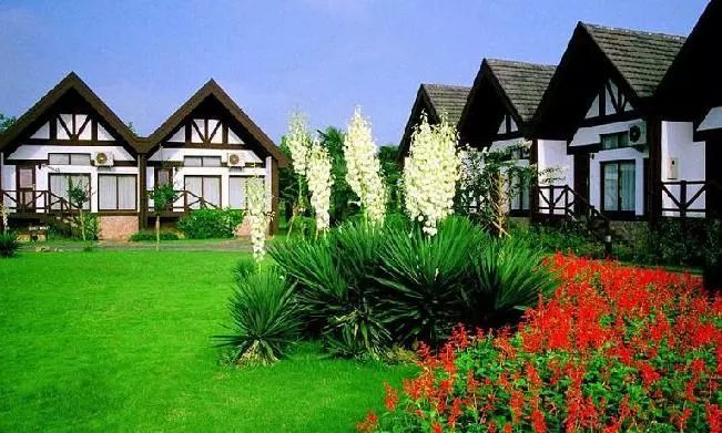 上海景点交通攻略,上海公交车旅游攻略