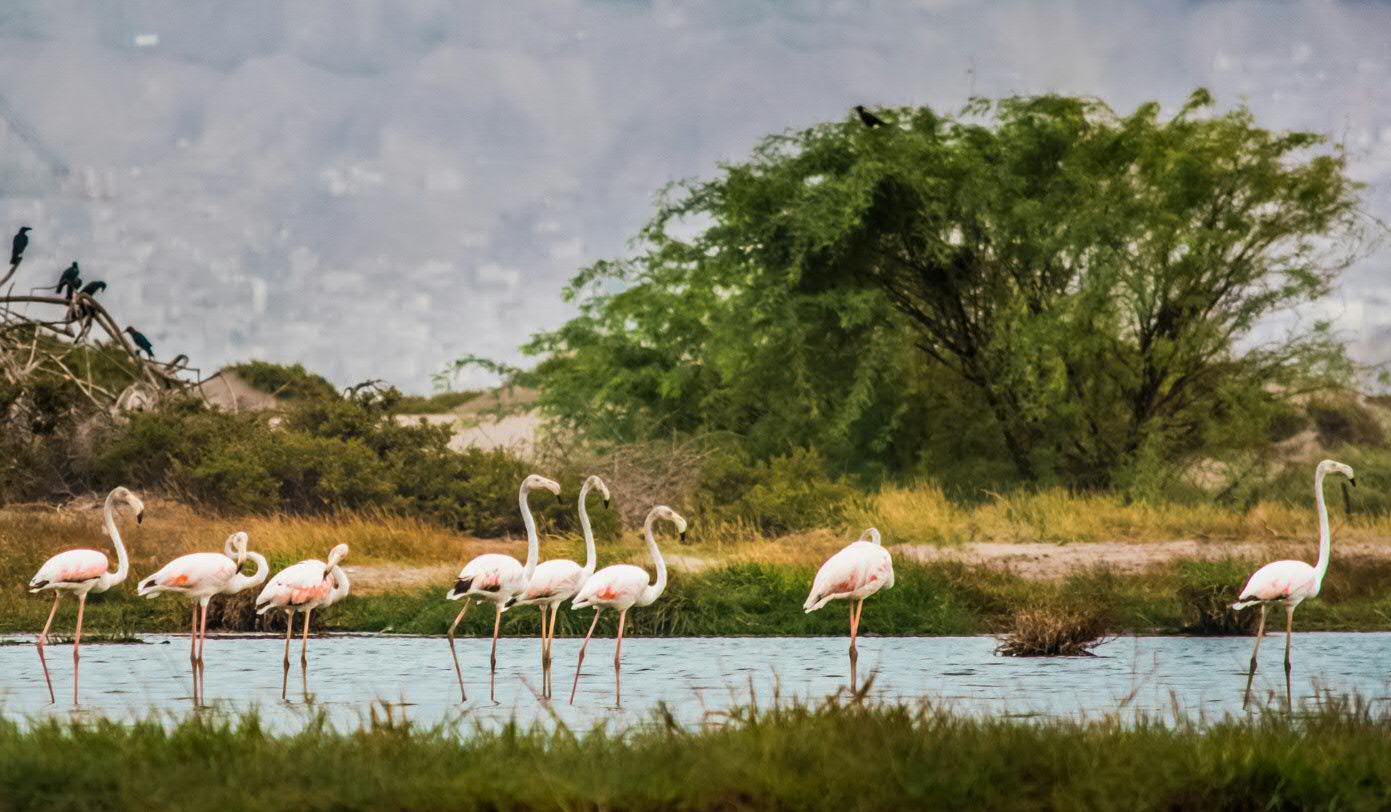 疫情下的巴西，天堂与地狱仅一街之隔，同在耶稣庇佑下的两种人生