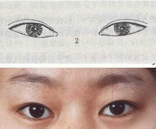 对照下你是哪种漂亮的眼型,如何区分自己的眼型
