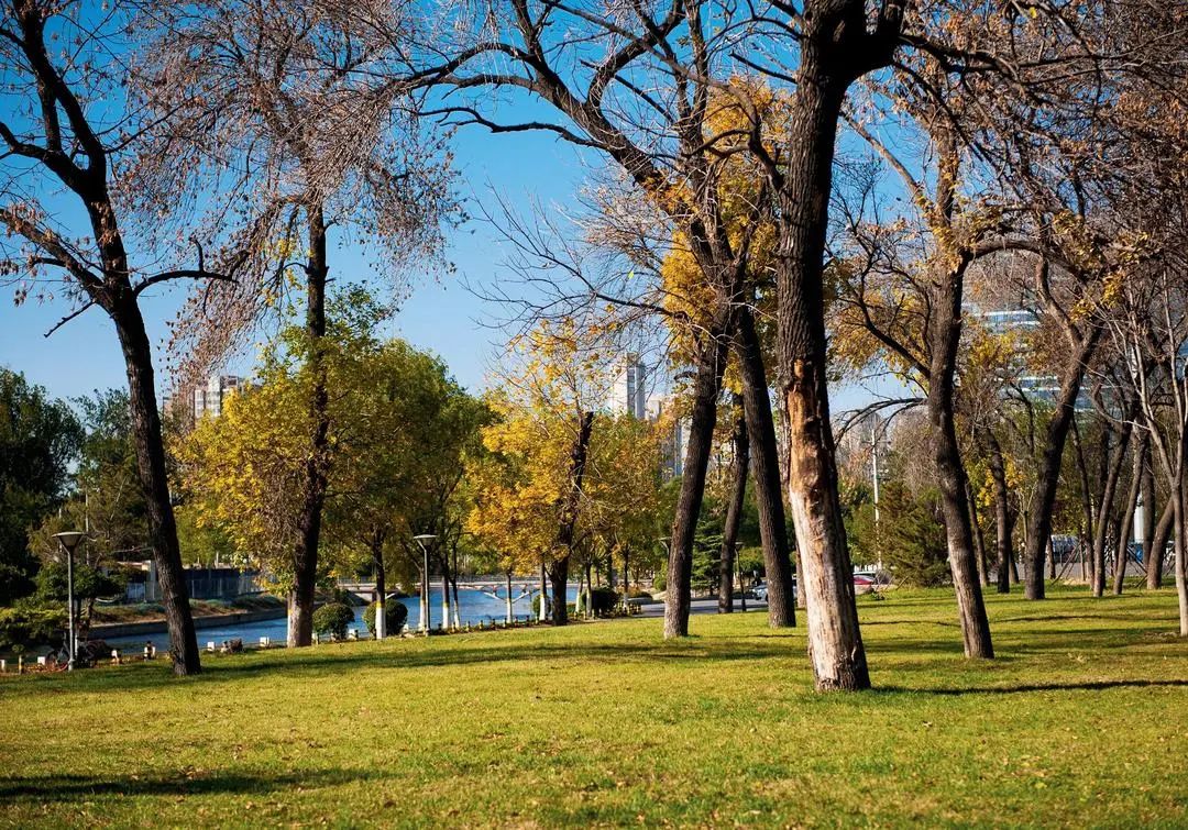 存量时代看国外商业如何改造焕新,存量时代的城市发展策略