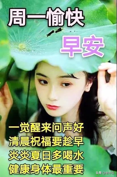 早上好周末愉快问候语动态表情包,周一早上好最新图片表情包