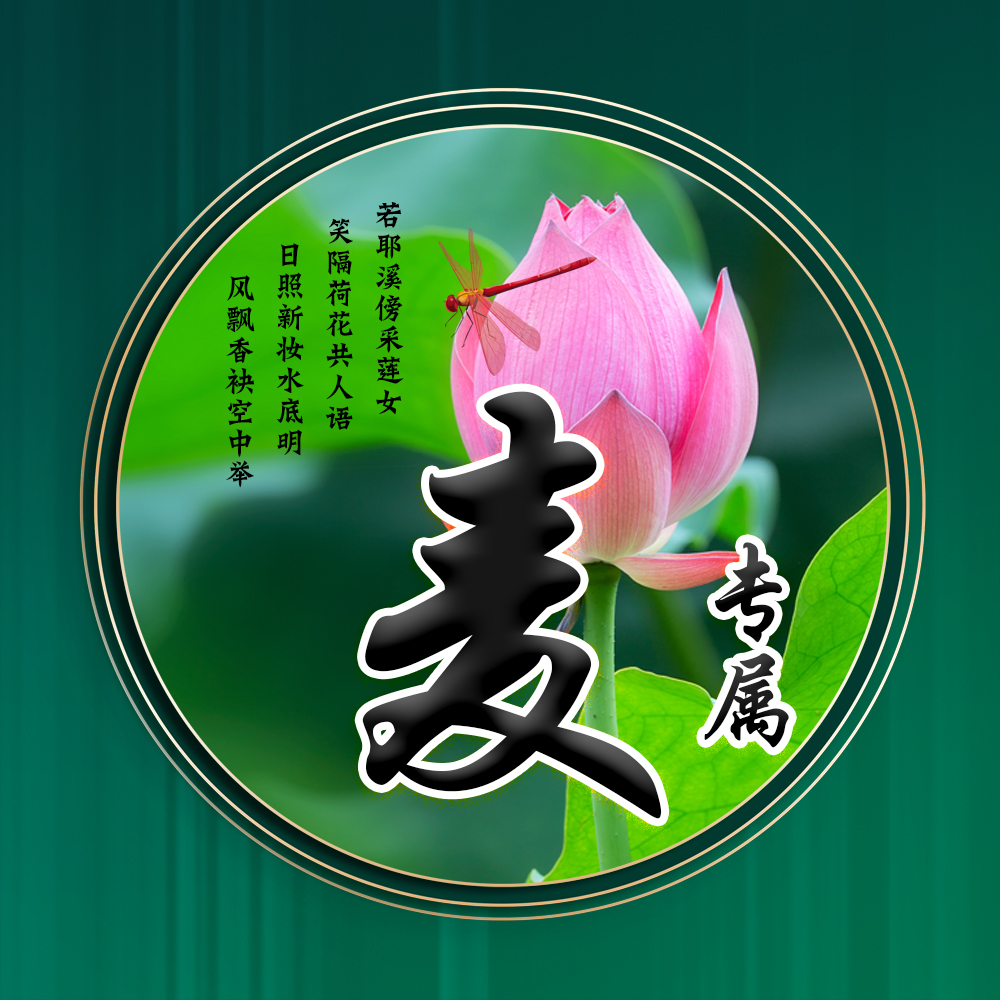 100张唯美荷花姓氏头像,适合做头像的荷花图片清晰点的