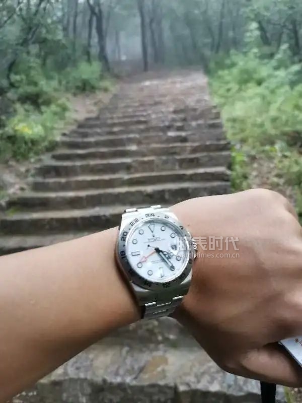 网友晒上千万的手表,网友晒1300手表