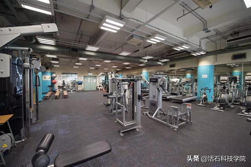 2019香港浸会大学新生手册