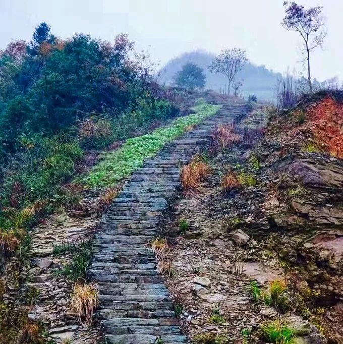 安徽值得去的四大古村,安徽春天最美十大村落