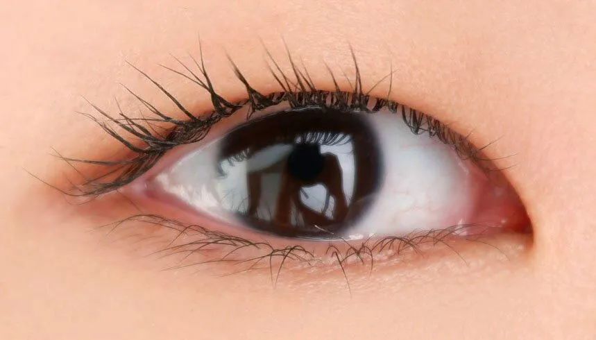 canmake限量版色号12号,canmake五色复古红