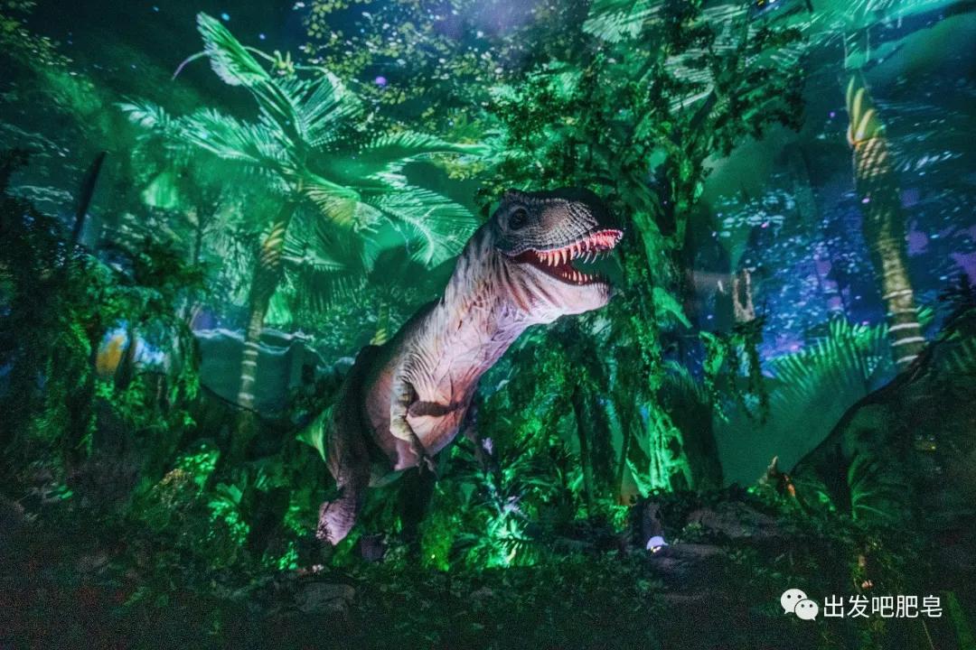 长隆飞鸟乐园长隆熊猫酒店怎么选,周一长隆野生动物园游玩攻略