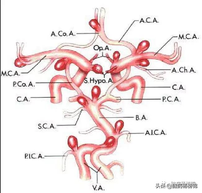 意外伤害很严重年纪轻轻难保命，谭院刀刀用真情豫南名医中中中