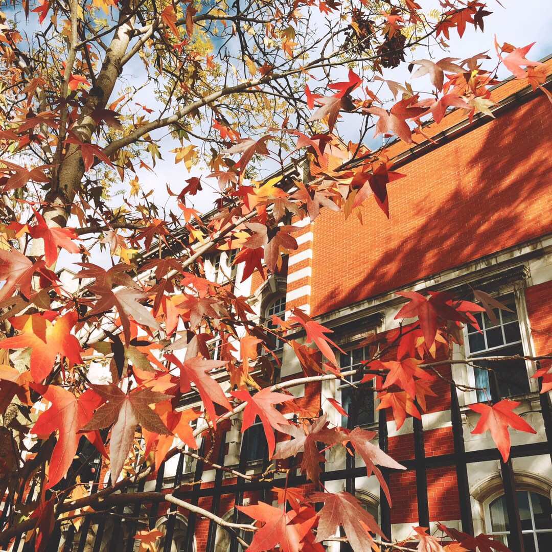 埃塞克斯大学相当于国内什么学校,埃塞克斯大学在英国的位置