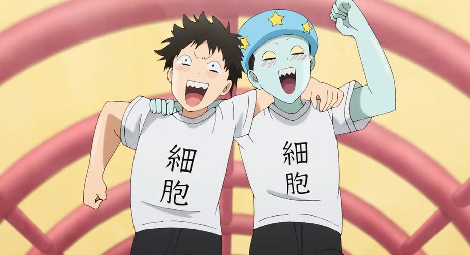 必须再夸一次这种「卖肉片」