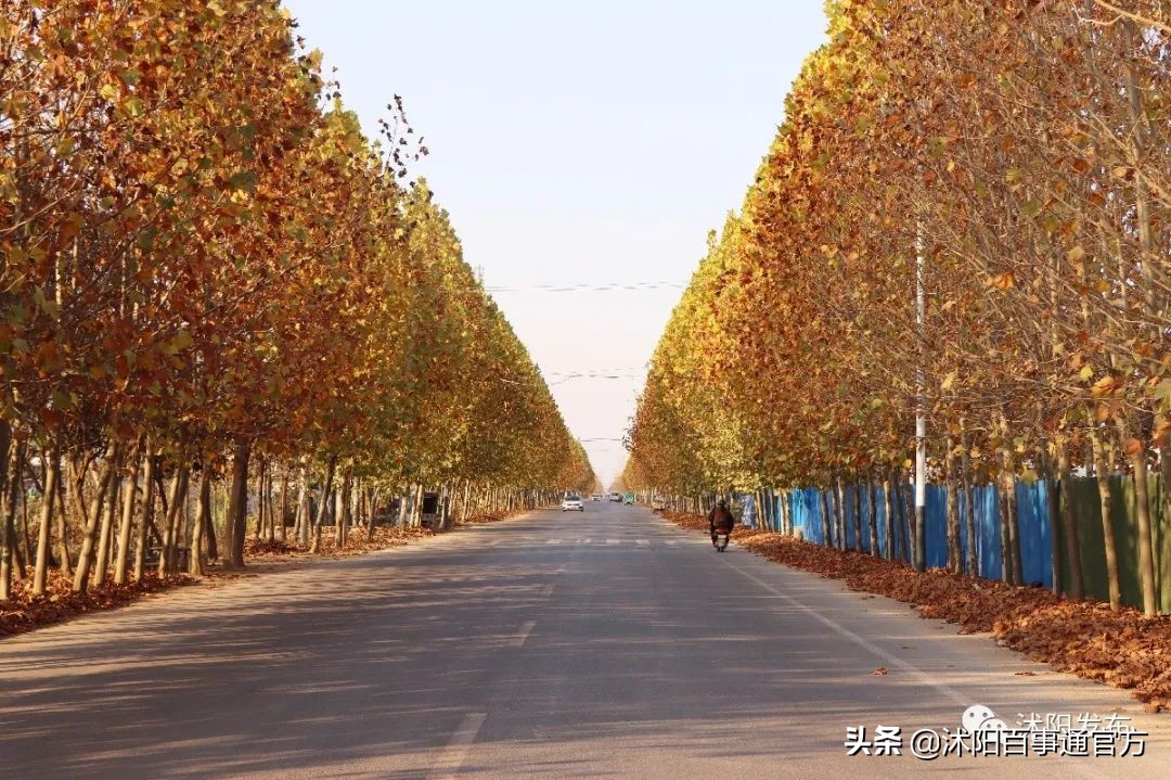 沭阳23个重大项目是哪些,沭阳重点发展的4个城镇