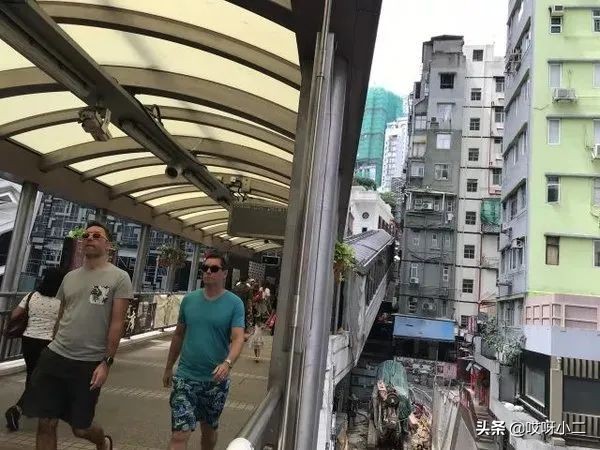 “天人合一”的香港，是我最中意的地方