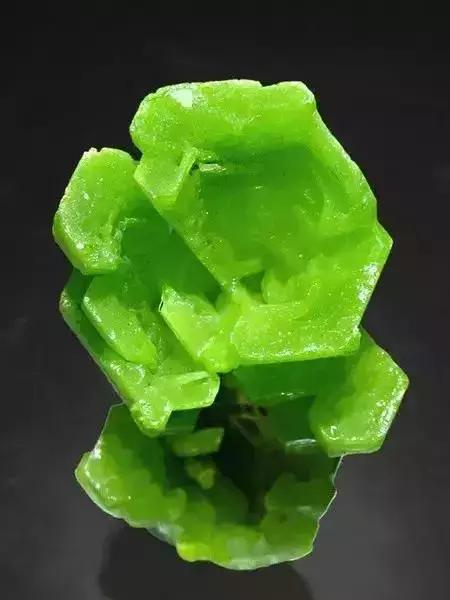 世界上令自己眸生情,见到后再也不爱别人的51个丽人