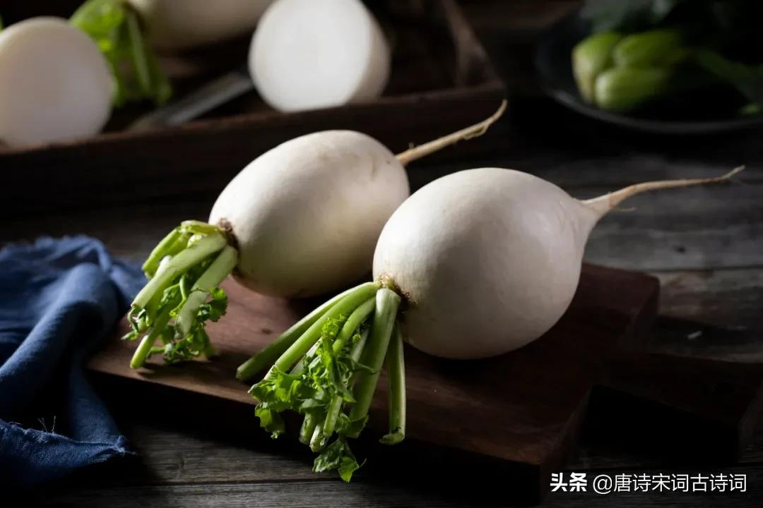 田园诗意菜园,诗意菜园名字大全