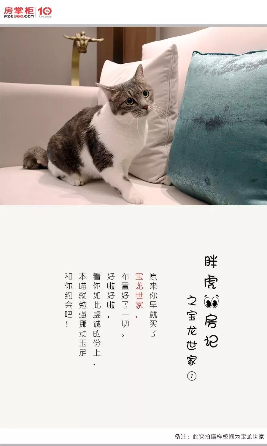 「胖虎大人看房记」第②期——宝龙世家