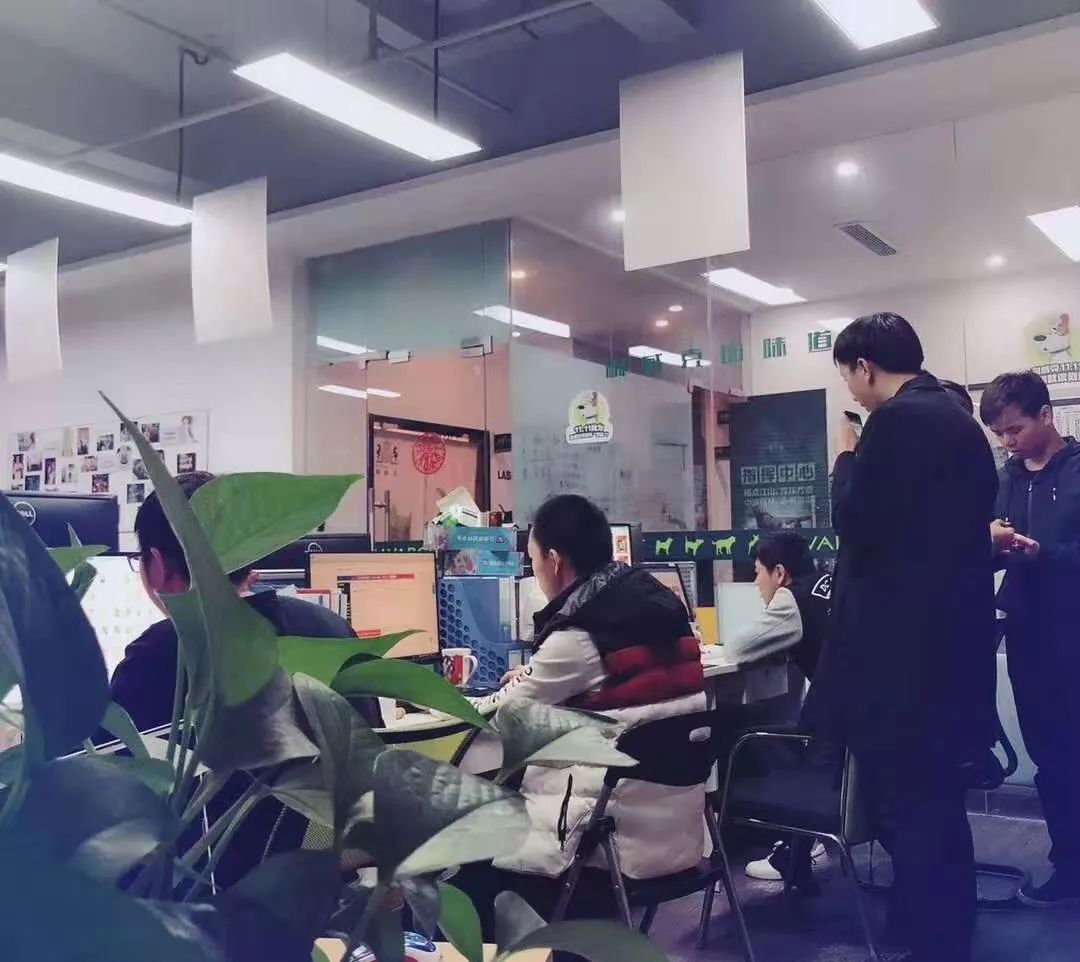 开宠物食品店创业,70后老板开店