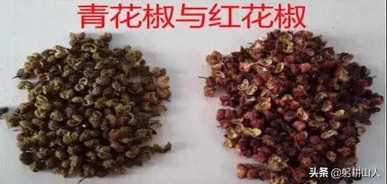 花椒要讲究品质不要只说价格 (为什么最近的花椒价格这么高)