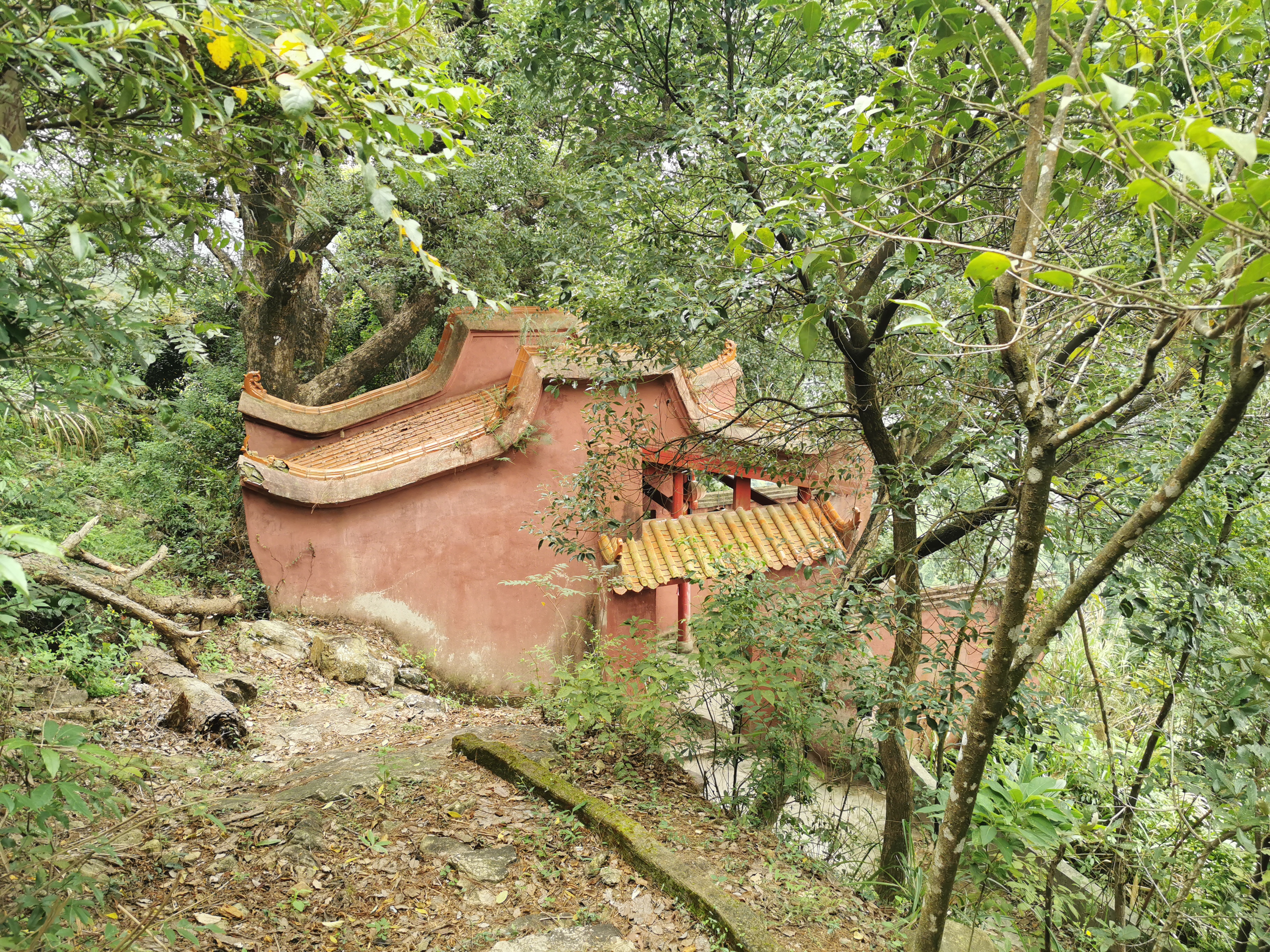 福州周边古道行之：三十六弯—恩顶—竹园岭，偶遇大野猪夹子