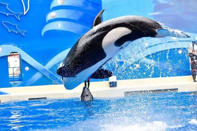 魔都一线江景酒店,魔都滴水湖酒店