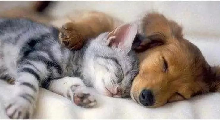 留学生海关安检被拒，CL的萝卜丁口红竟成凶器！