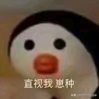 网红面膜产品打假测评,芮一面膜有激素超标吗