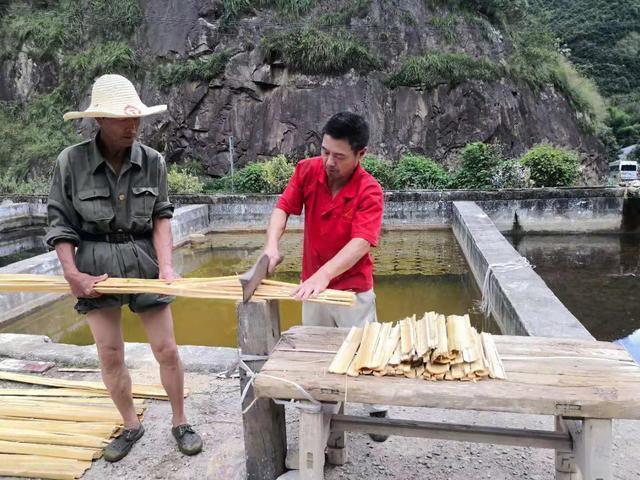 双11最荒唐的购物,双11奇葩买家秀