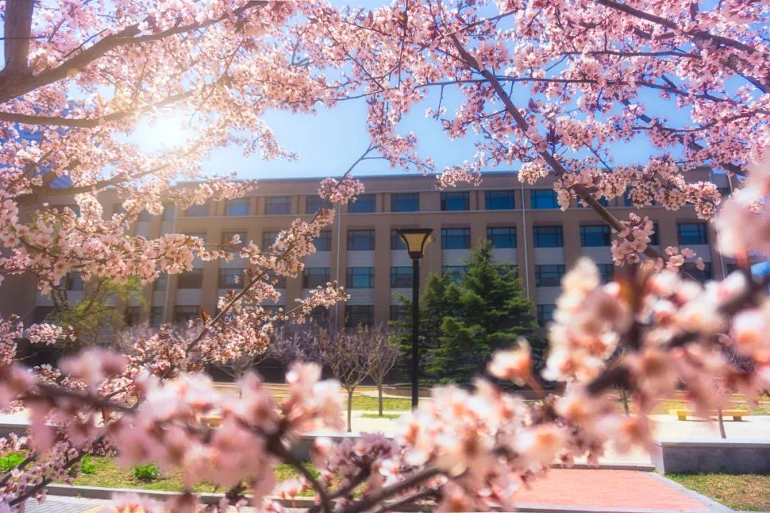 旅游三亚和厦门哪个更值得去,三亚和厦门哪个更值得去三亚旅游