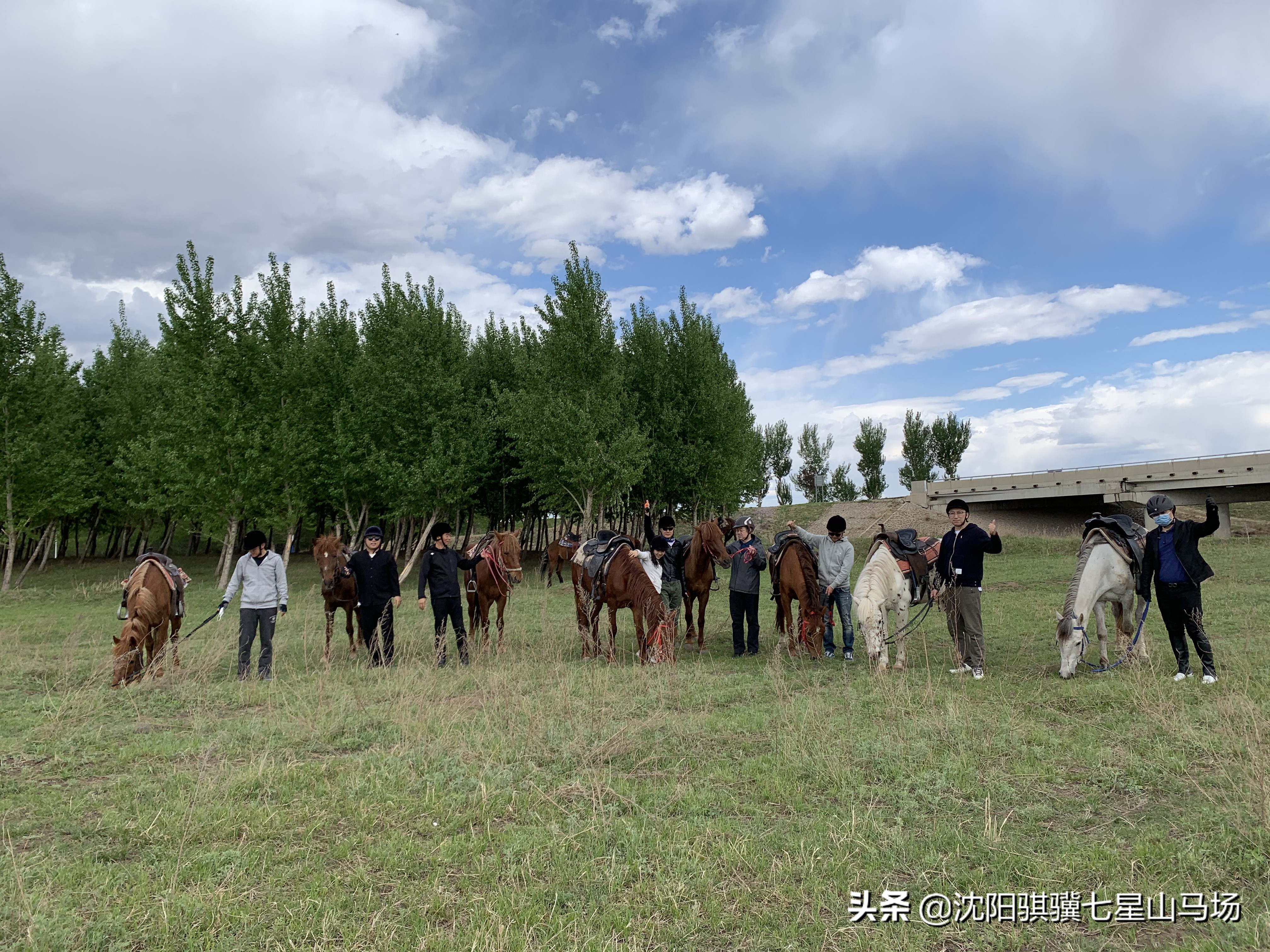 沈阳七星山马会攻略,沈阳七星山骑马攻略