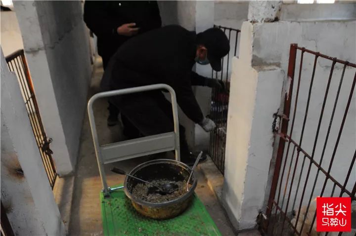 马鞍山流浪狗救助中心在哪里,曝光流浪狗救助真相