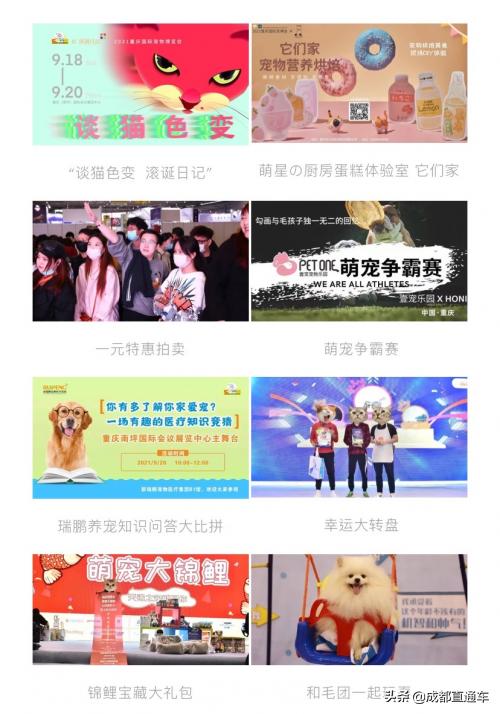 重庆24年宠物展,第四届国际宠物展重庆
