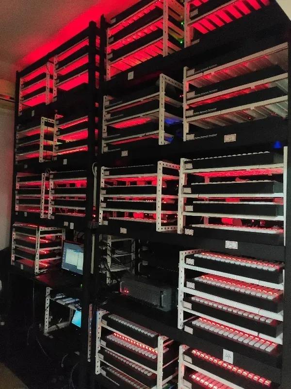 一条绳上的“卡商”“号商”,谁也别想跑