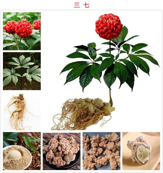 美舍雅阁五件套,美舍雅阁产品价格表