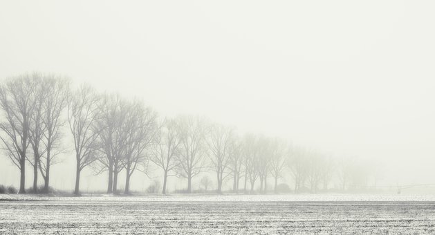 药学博士十大骗局,医学博士生护肤圈最大谎言