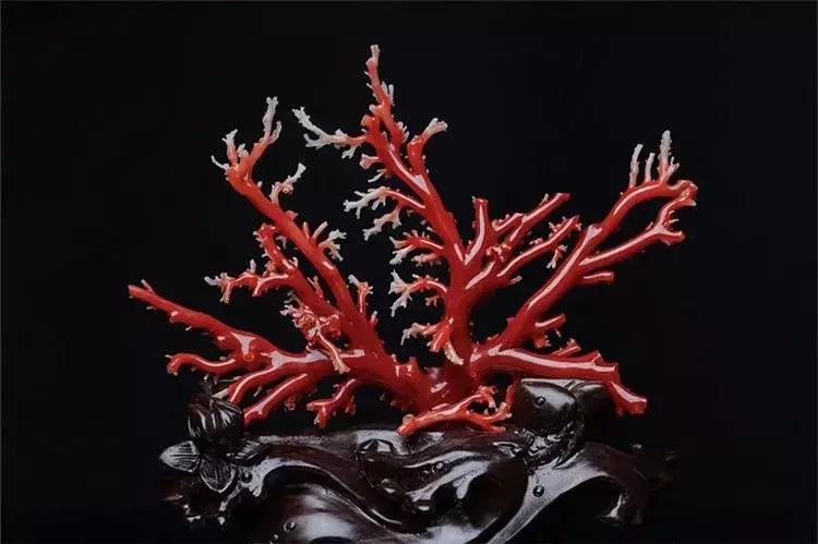 假珠宝大揭秘,十大伪高大上珠宝