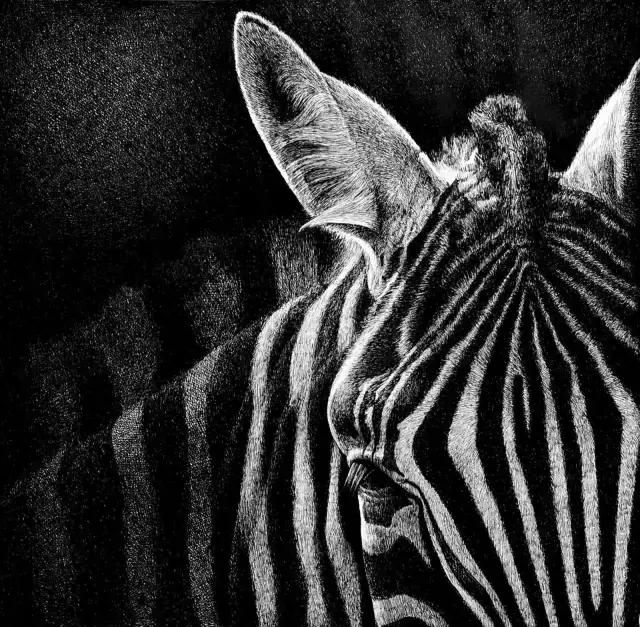 小央美钢笔画视频,极品五大钢笔画简直美爆