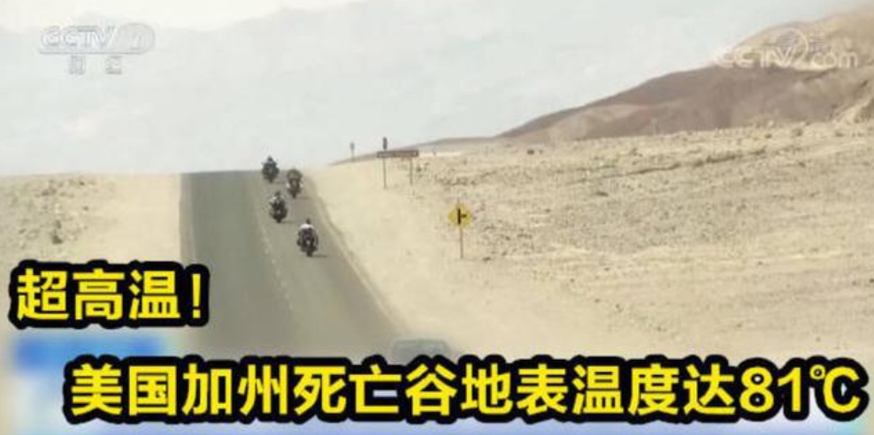 河南邓州惊现飞虫集聚，被传为“涨水蛾”，它们的出现意味什么？