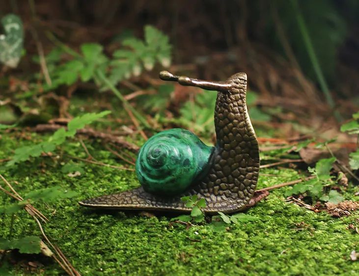 茶宠：席间清供，玩物养志