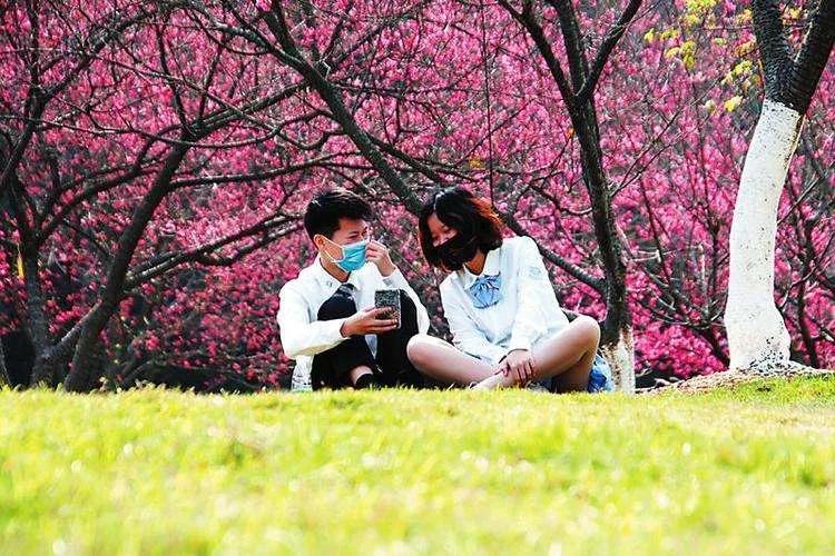 天津春暖花开西沽公园,天津开放的湿地生态公园