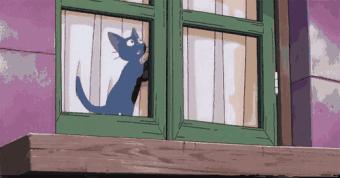 南方暴雨过后的水蚁有多可怕,暴雨后大水蚁怎么处理