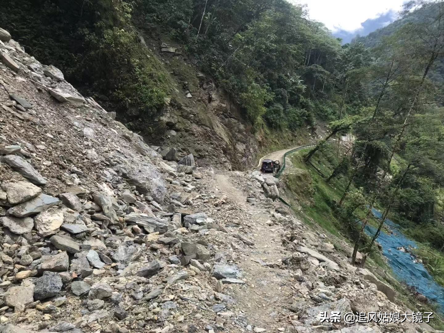 穿越原始的森林,穿越原始森林巨大蜈蚣