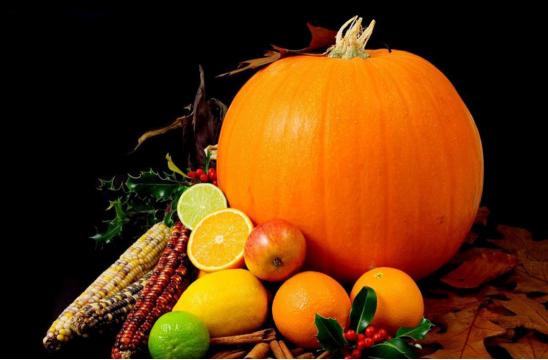 种植南瓜出蛆原因,种的南瓜总是烂怎么办