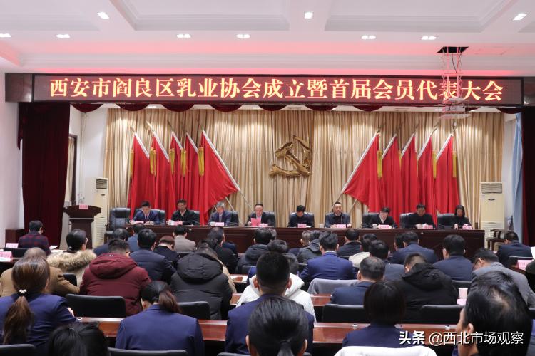 西安:阎良区紧盯“四最”营商环境目标持续发力服务辖区羊乳企业