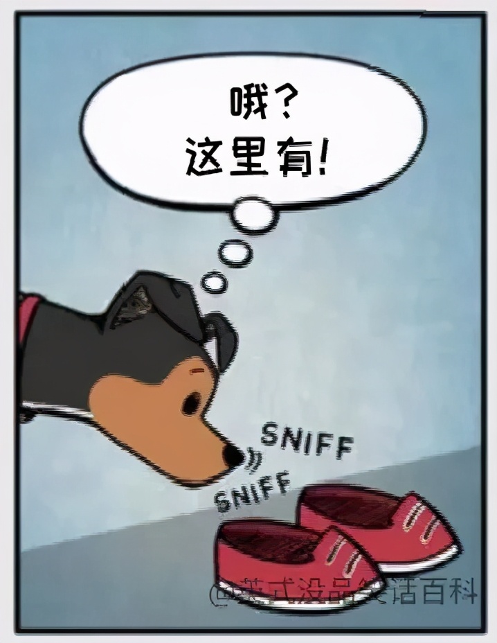 猫和铲屎官漫画全集,铲屎官和狗子的漫画