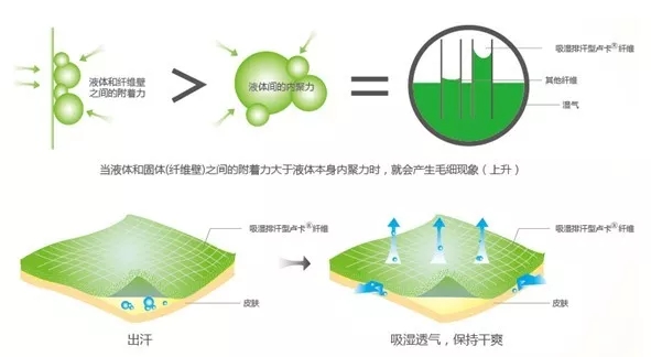 麻空间床垫,麻立方儿童床垫