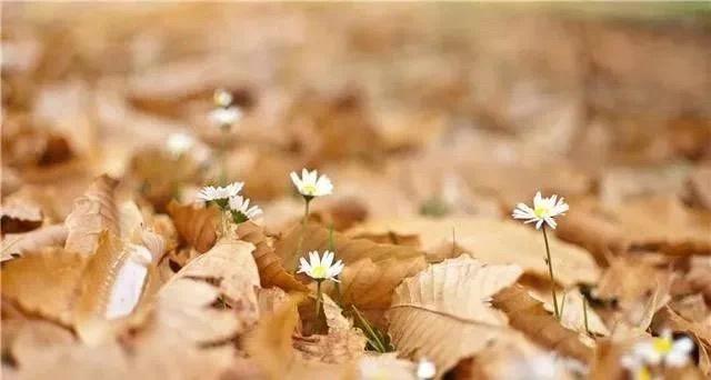 不用开店就能做的创业项目有哪些,冷门创业项目年轻人如何创业