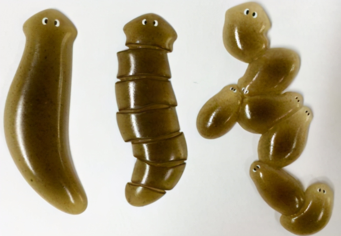 受伤的伤疤愈合后为什么还痛,好了伤疤忘了疼为什么