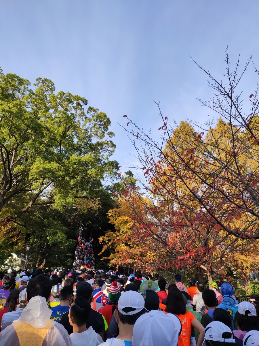 日本大阪马拉松,日本大阪马拉松赛道难度