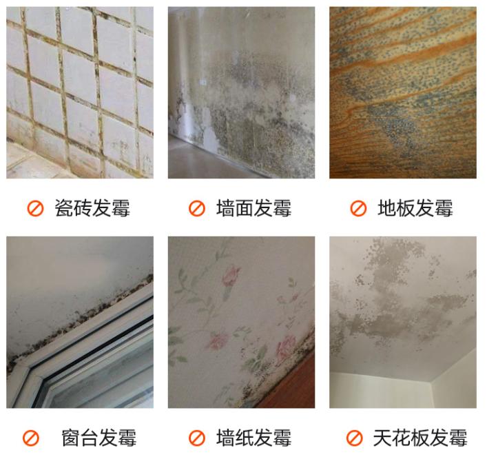 霉菌比*霜砒**毒还毒68倍？你家屋子里这些发霉的地方都清理了吗？