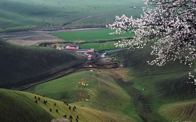 各种相机拍摄技巧视频,单反相机入门教程实用摄影技巧