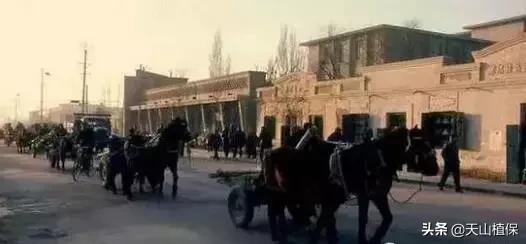 *疆新**库尔勒彻底火了！登上央视让世界瞩目，为库尔勒而骄傲